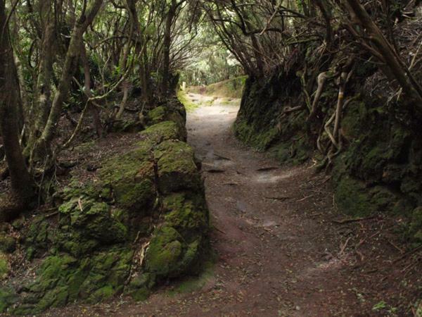 Stunning Views At Tenerife Такоронте Экстерьер фото