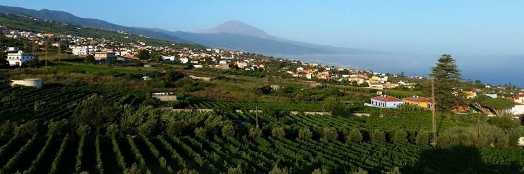Stunning Views At Tenerife Такоронте Экстерьер фото